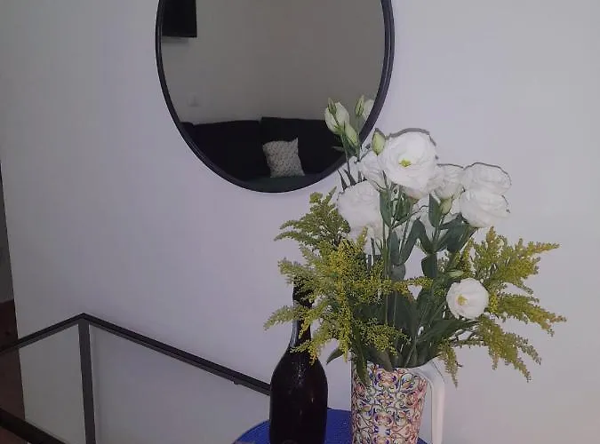 Ariel בית הארחה 4*