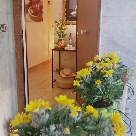 Ariel 4* سورينتو