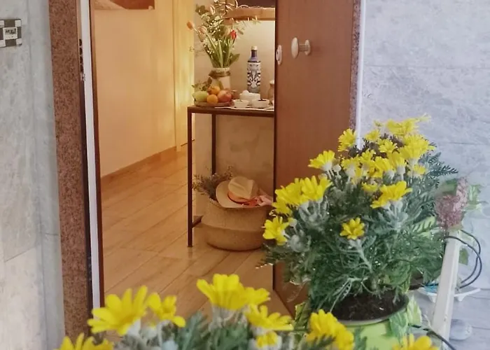 Ariel 4* سورينتو